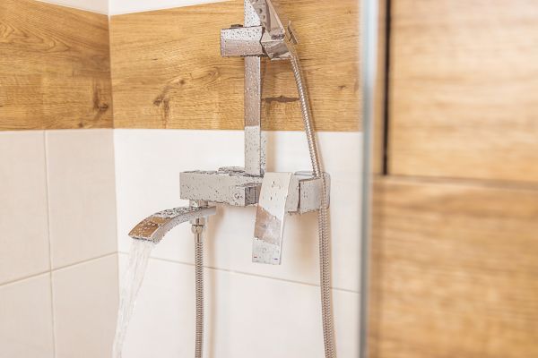 Cost of Shower Plumbing Installation in Bellevue